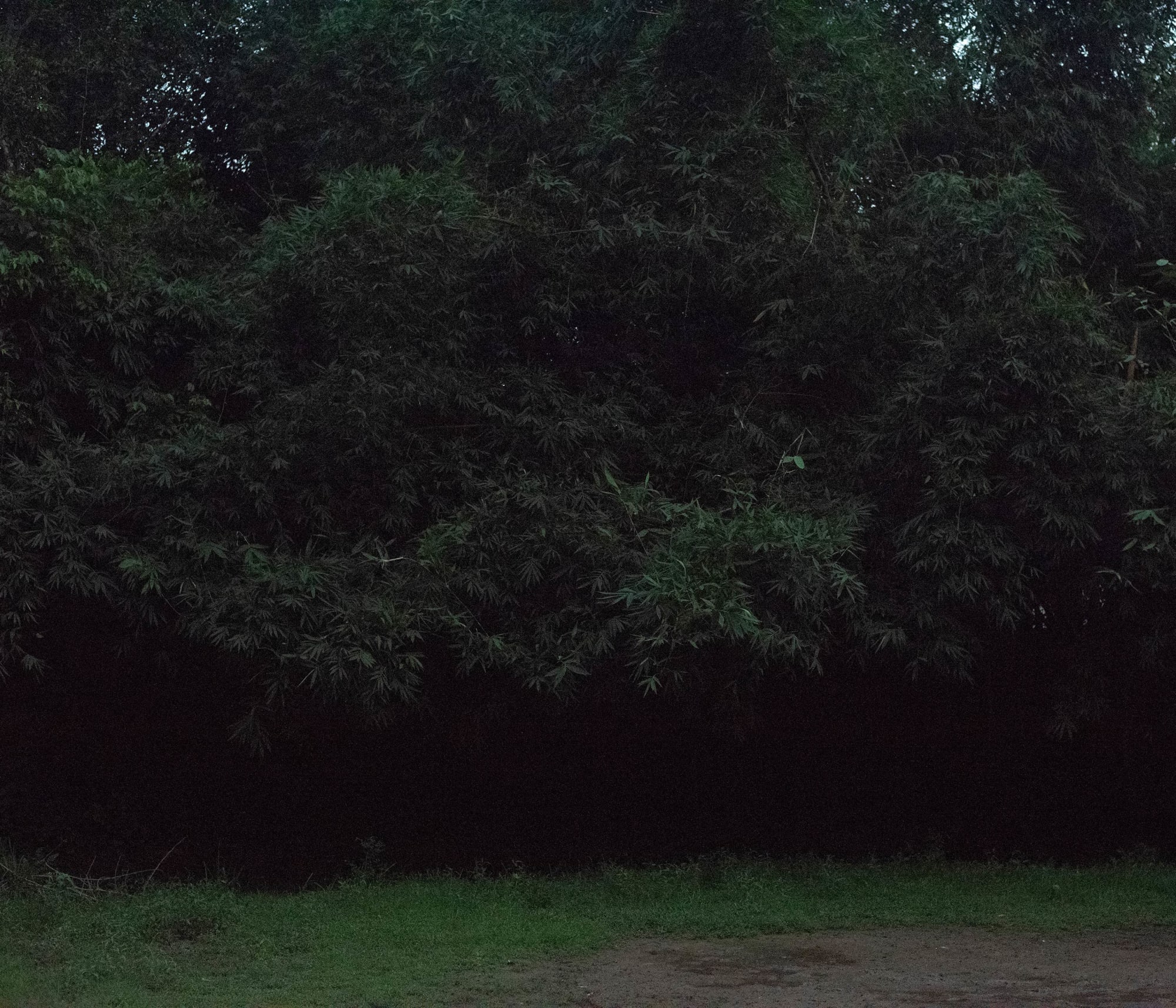 Ashfika Rahman, Files of the Disappeared, 2018 - Ongoing