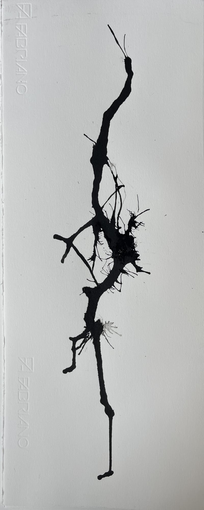 Rebecca Appleby, Root Drawing