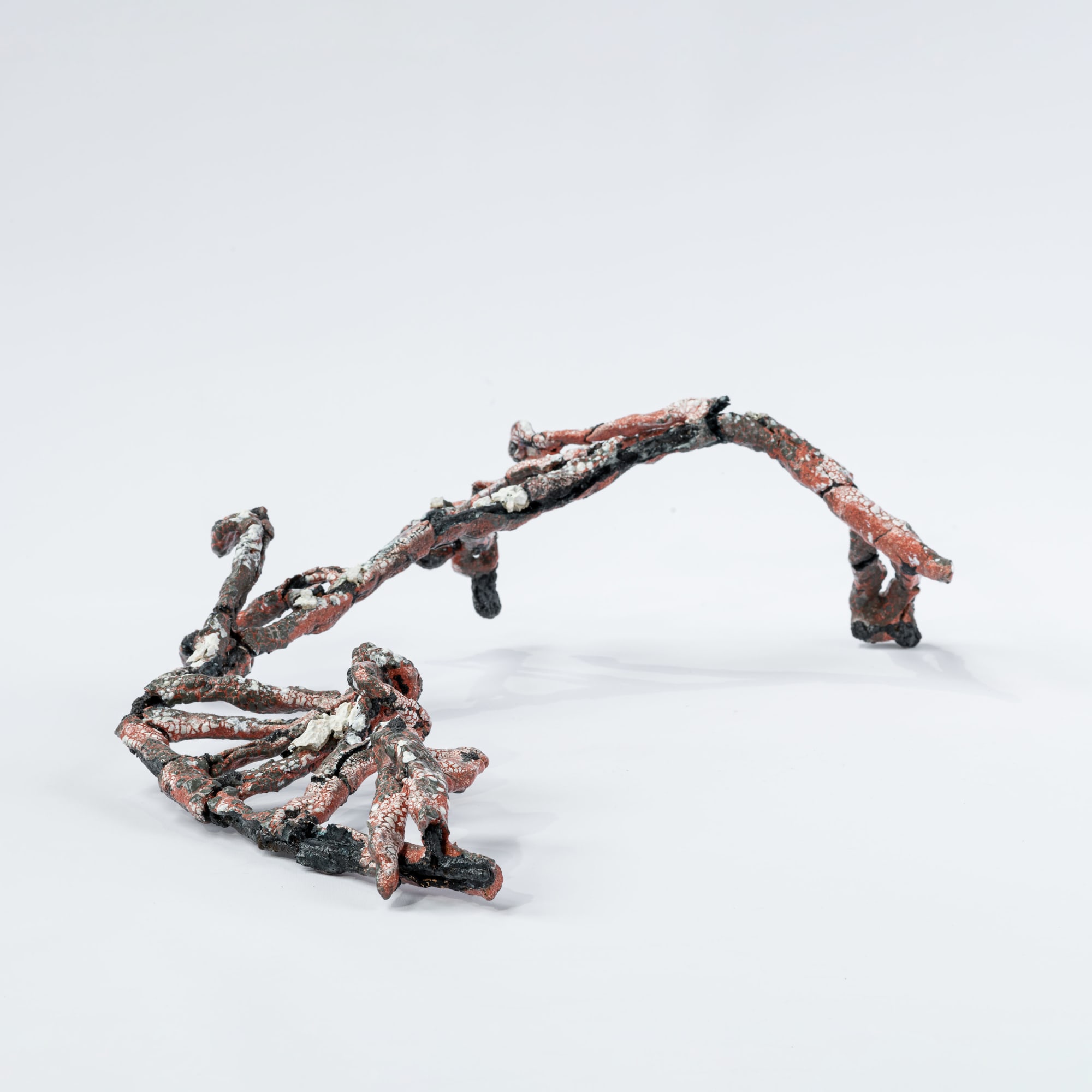 Rebecca Appleby, Bloodless