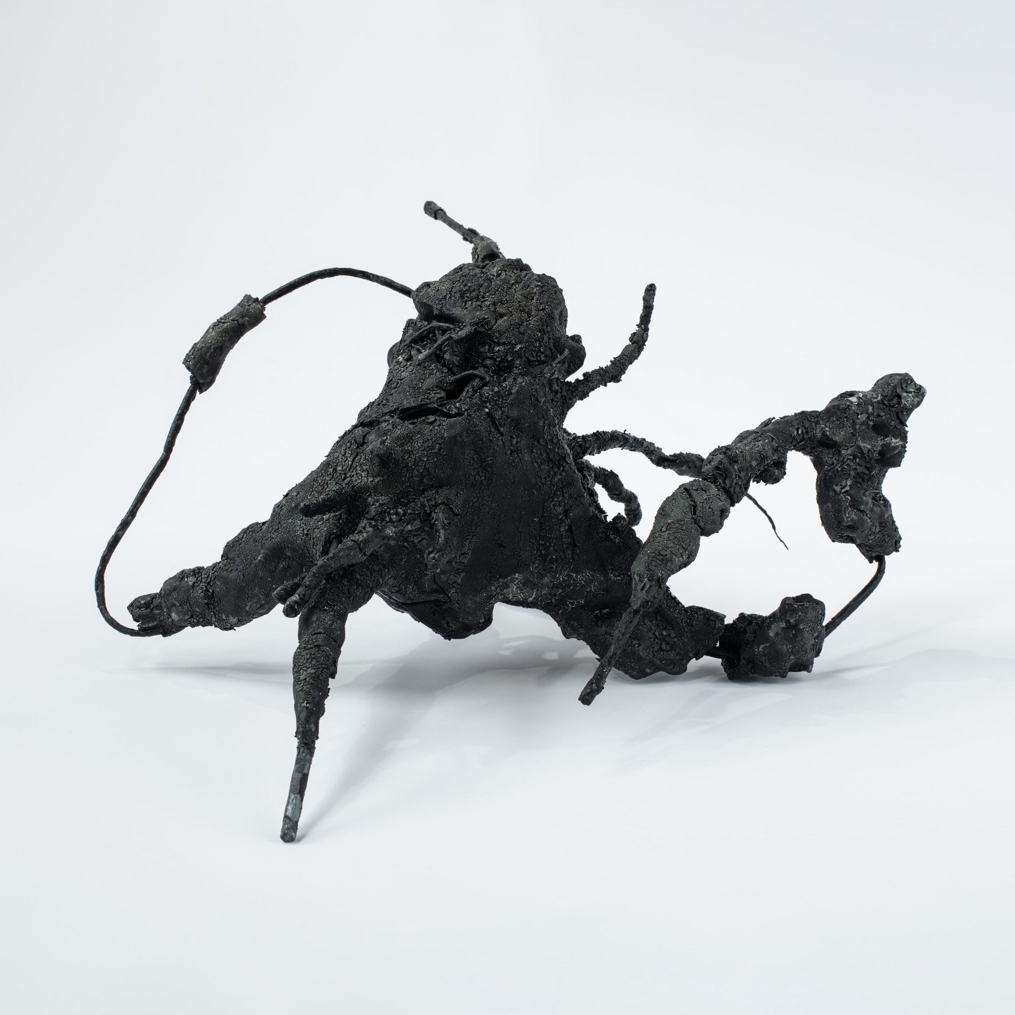 Rebecca Appleby, Lost in the Woods