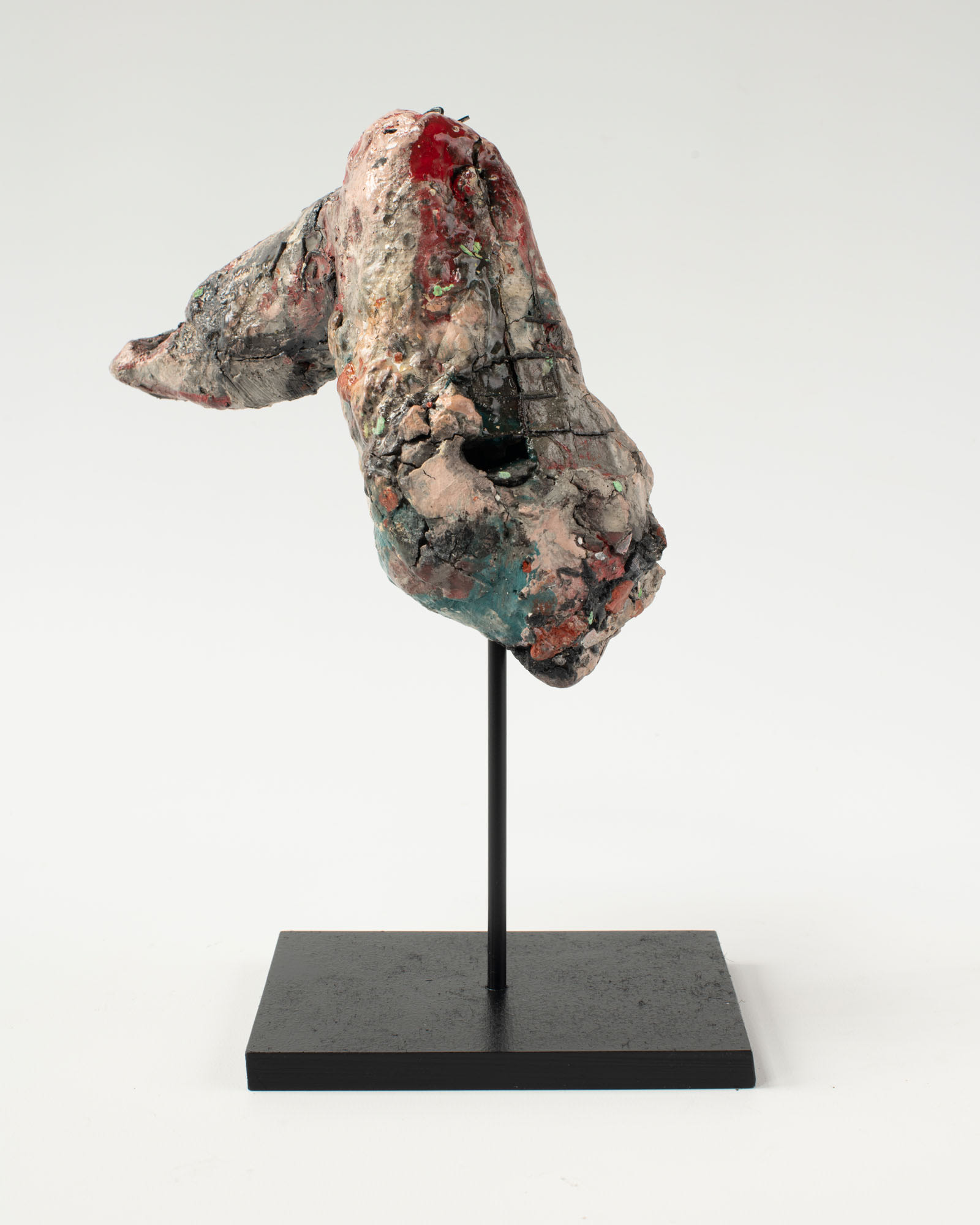 Rebecca Appleby, Net