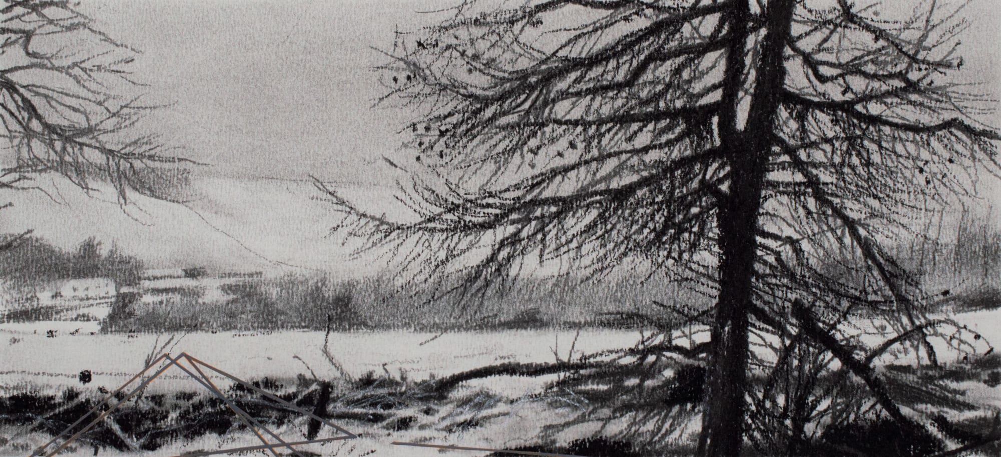 Andrew Mackenzie, Woodland Structure Variations (fleeting fragments of scattered architecture) Grey