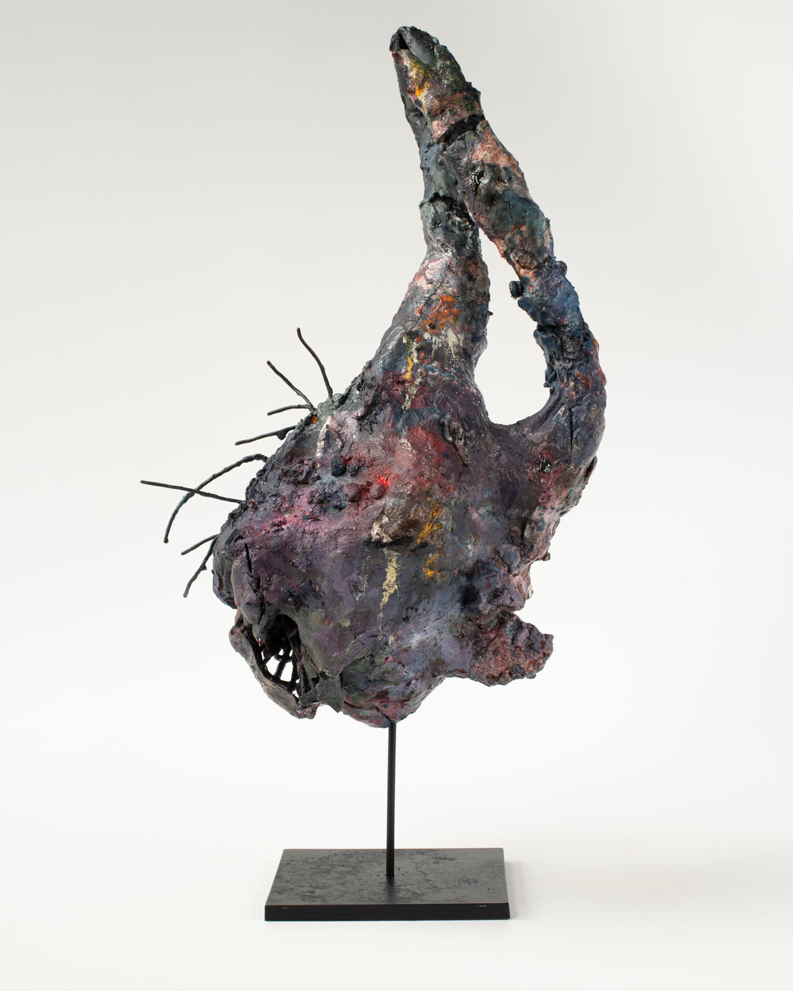 Rebecca Appleby, Umbilical