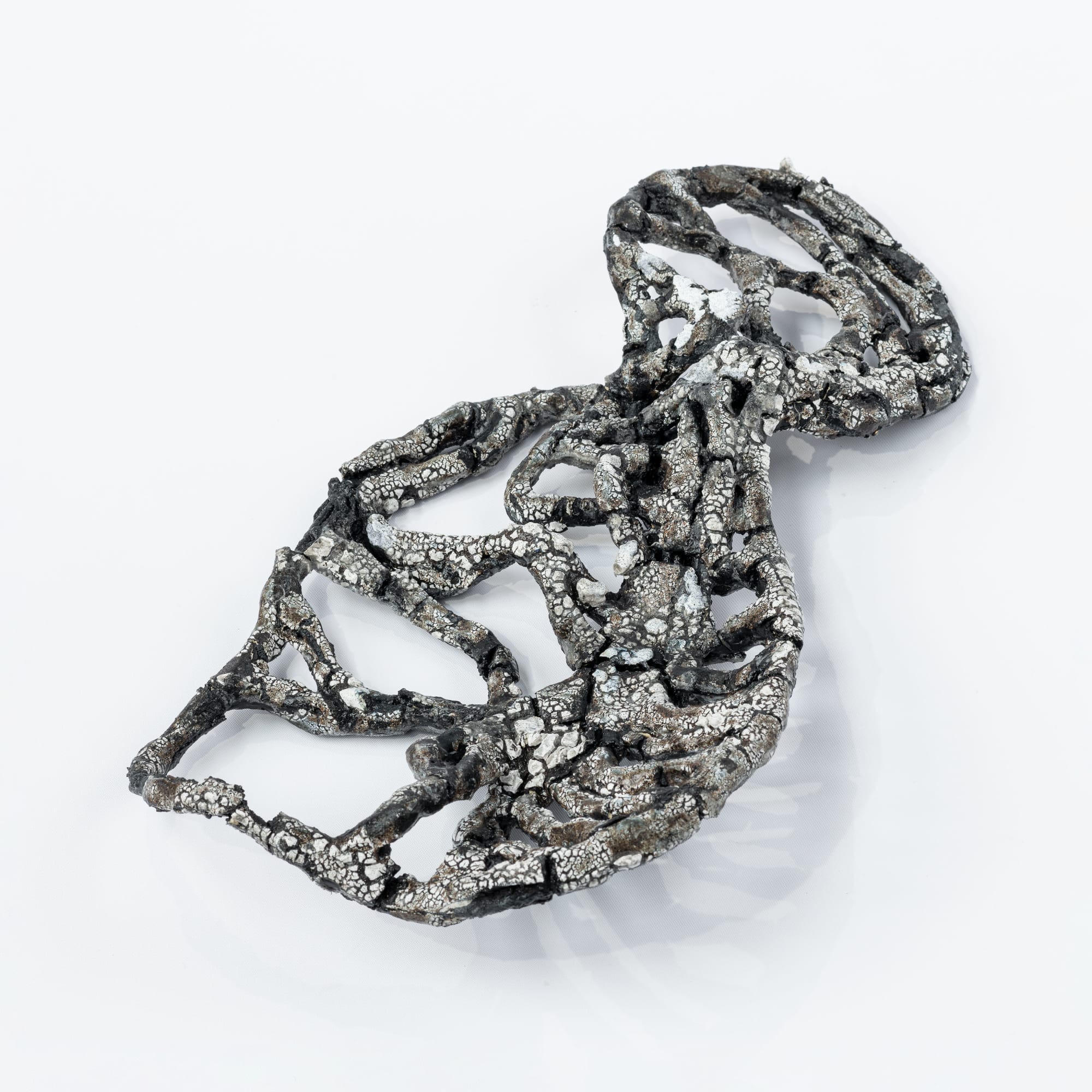 Rebecca Appleby, Foetal