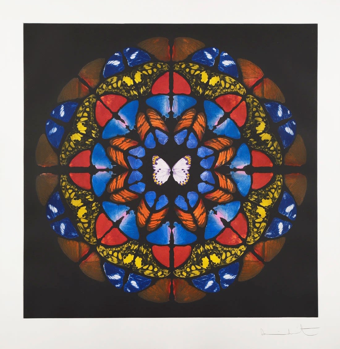 Damien Hirst, Sanctum (Belfry), 2009