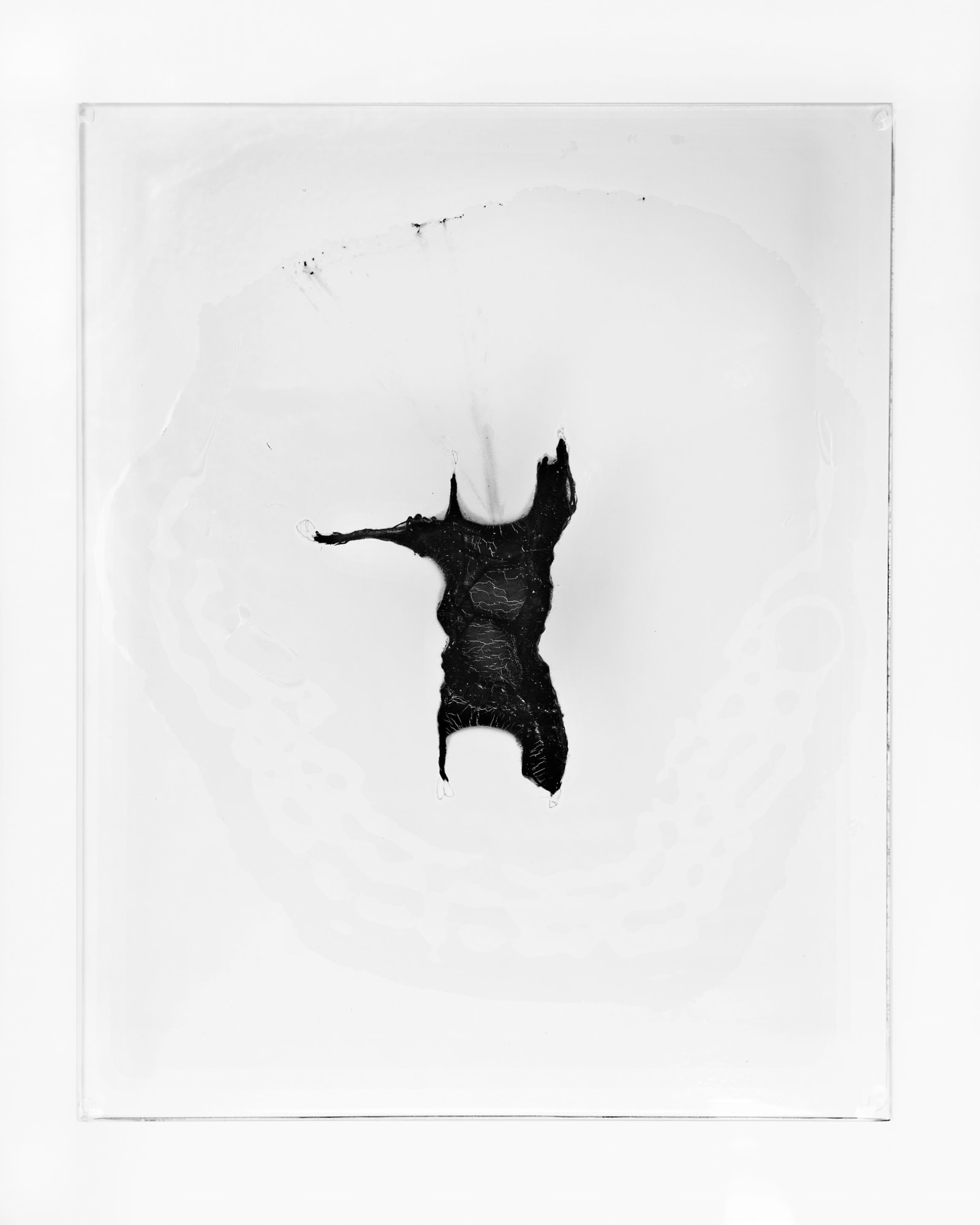 Theresa Traore Dahlberg, White Material IX, 2022