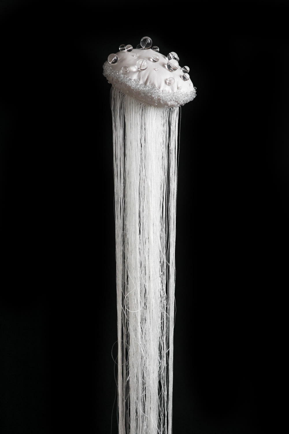 Устина Яковлева, Mollusk III, 2017
