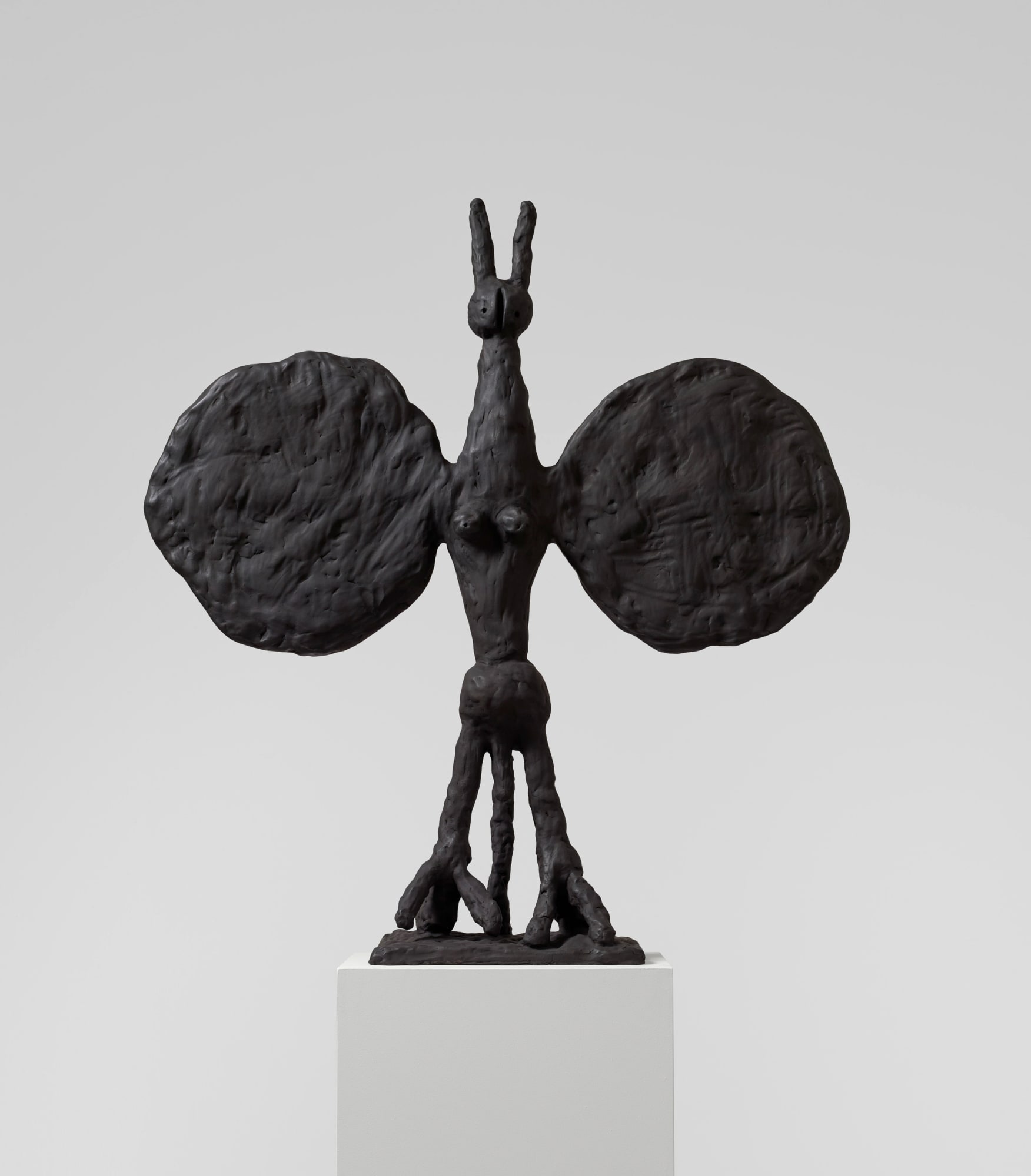 Tal R, Fledermäuse, 2020