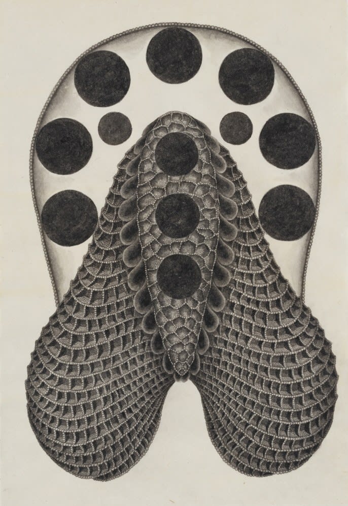 PARK Wunggyu, Dummy No.98, 2023