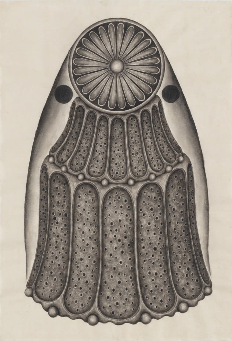 PARK Wunggyu, Dummy No.94, 2023