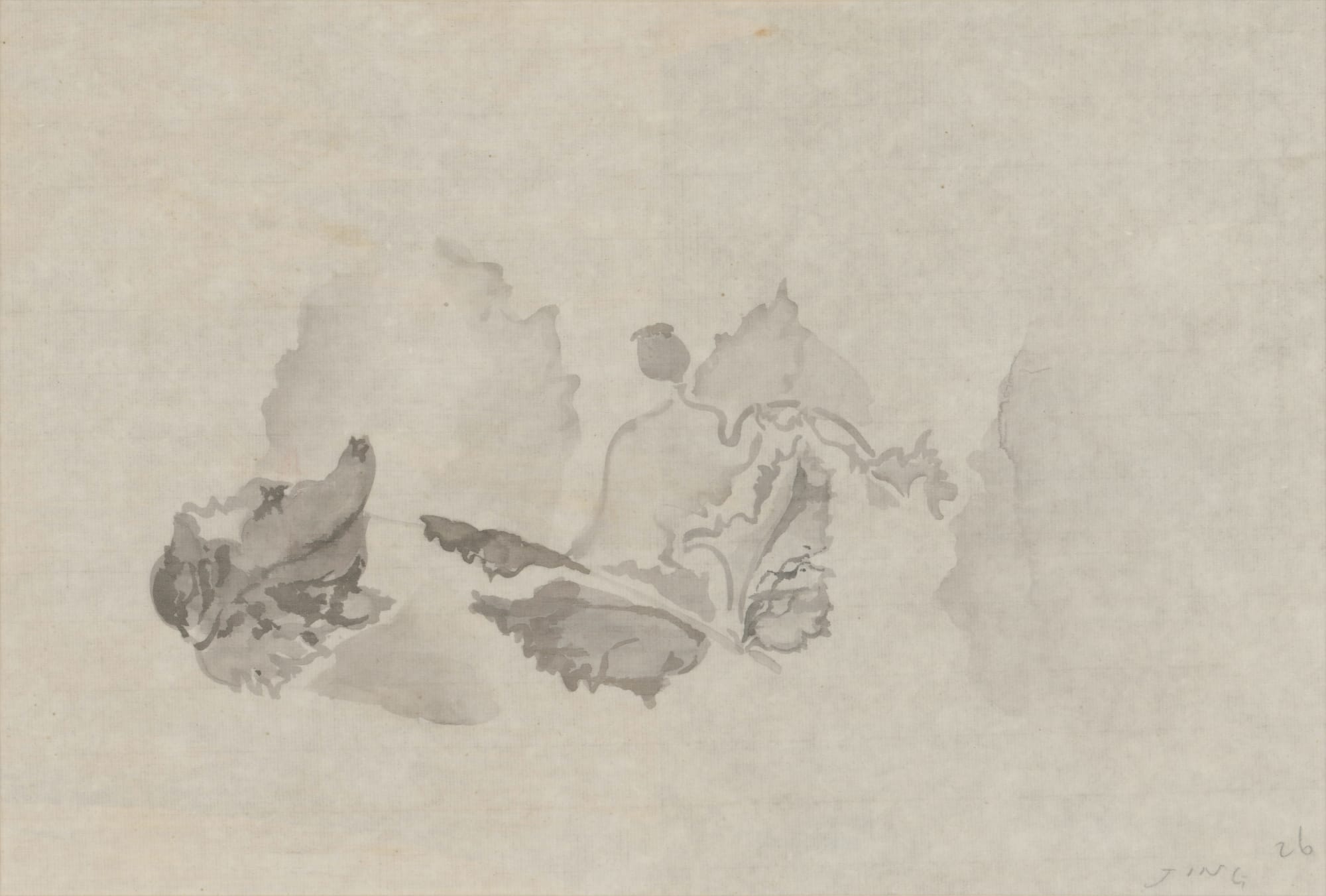 JING Shijian, Poppy 罂粟, 2019