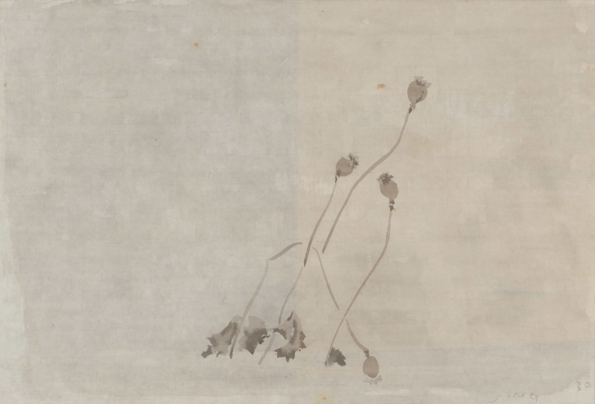 JING Shijian, Poppy 罂粟, 2019