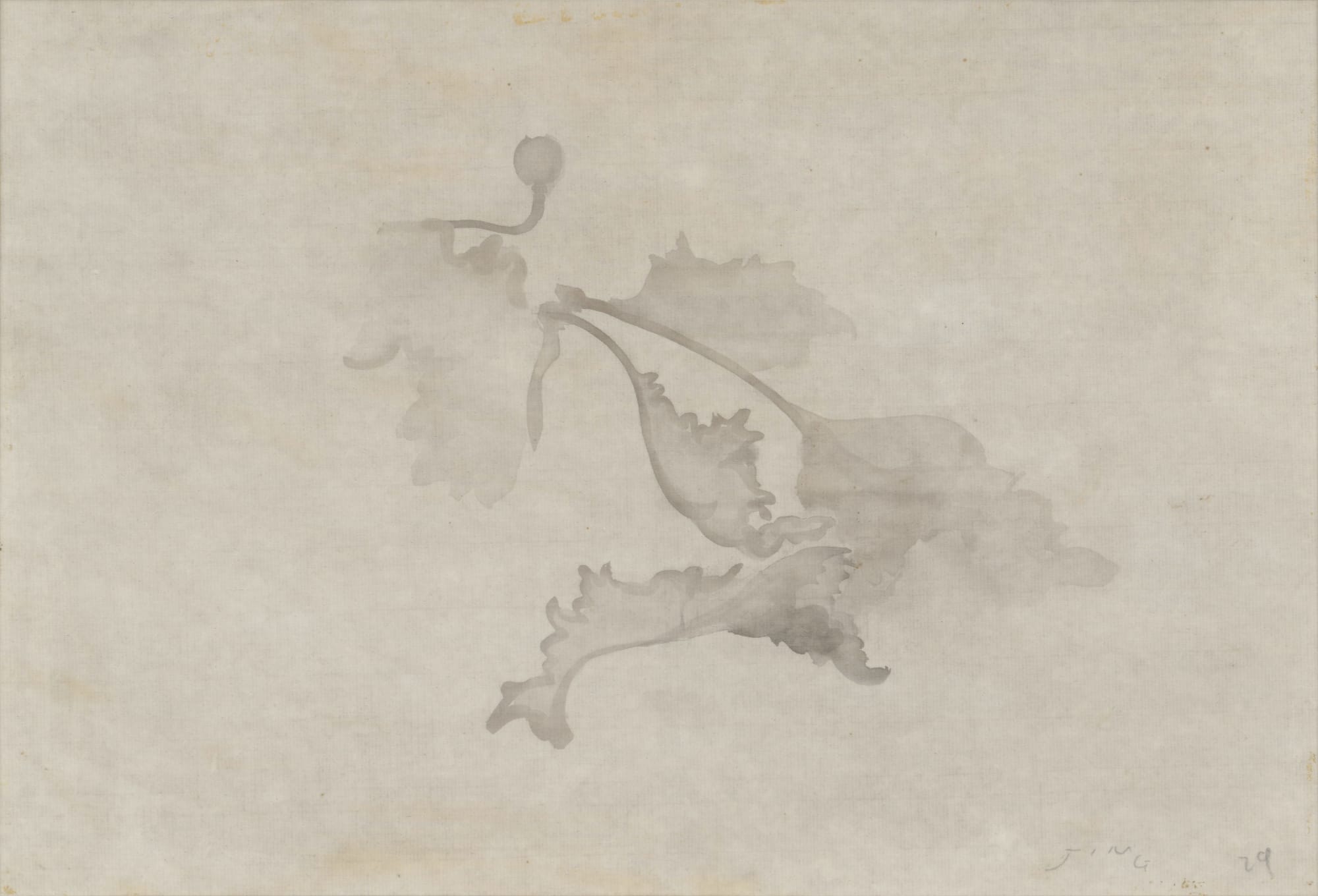 JING Shijian, Poppy 罂粟, 2019