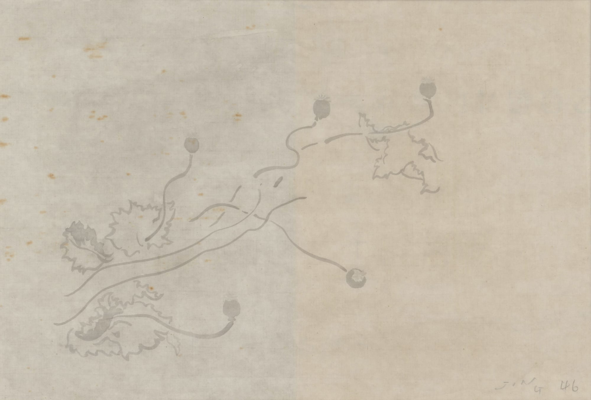 JING Shijian, Poppy 罂粟, 2019