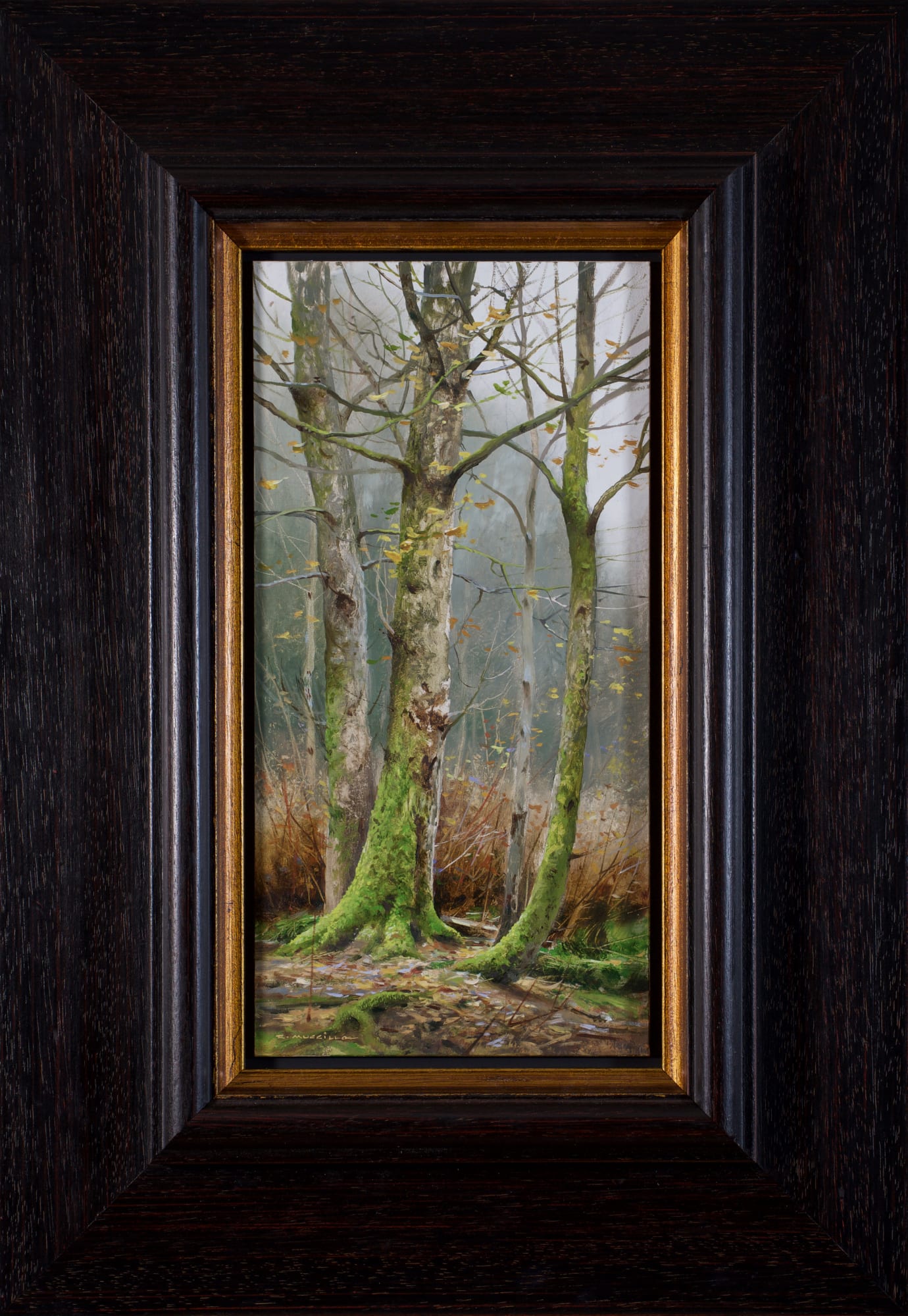 Renato Muccillo, Green Belt in Autumn, 2024