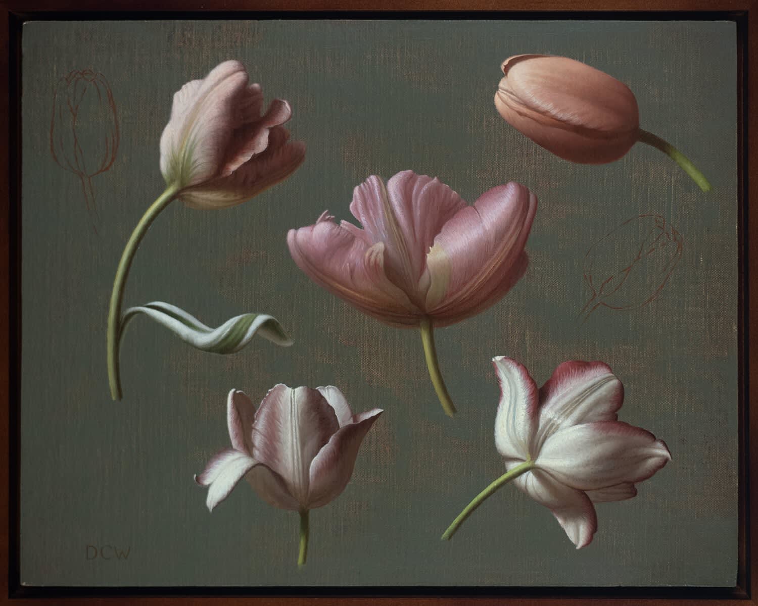 Devin Cecil-Wishing, Pink Tulip Studies, 2025