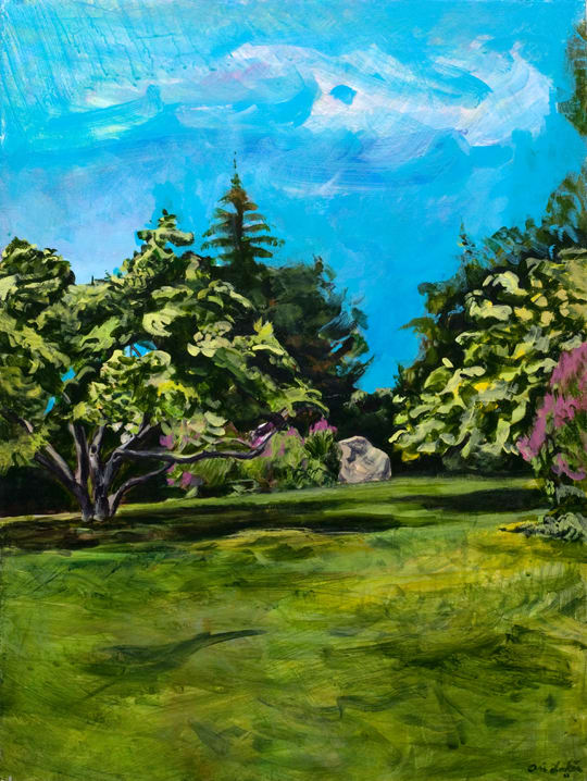 Ari Lankin, Sheep Meadow, Memorial Day Weekend, NE - Central Park NYC, 2011