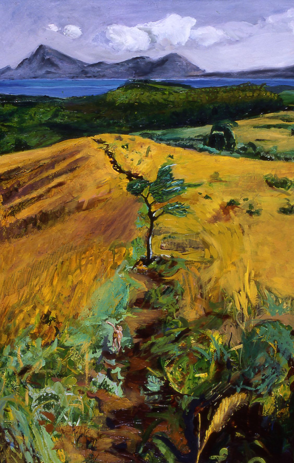 Ari Lankin, Fiji, 2002