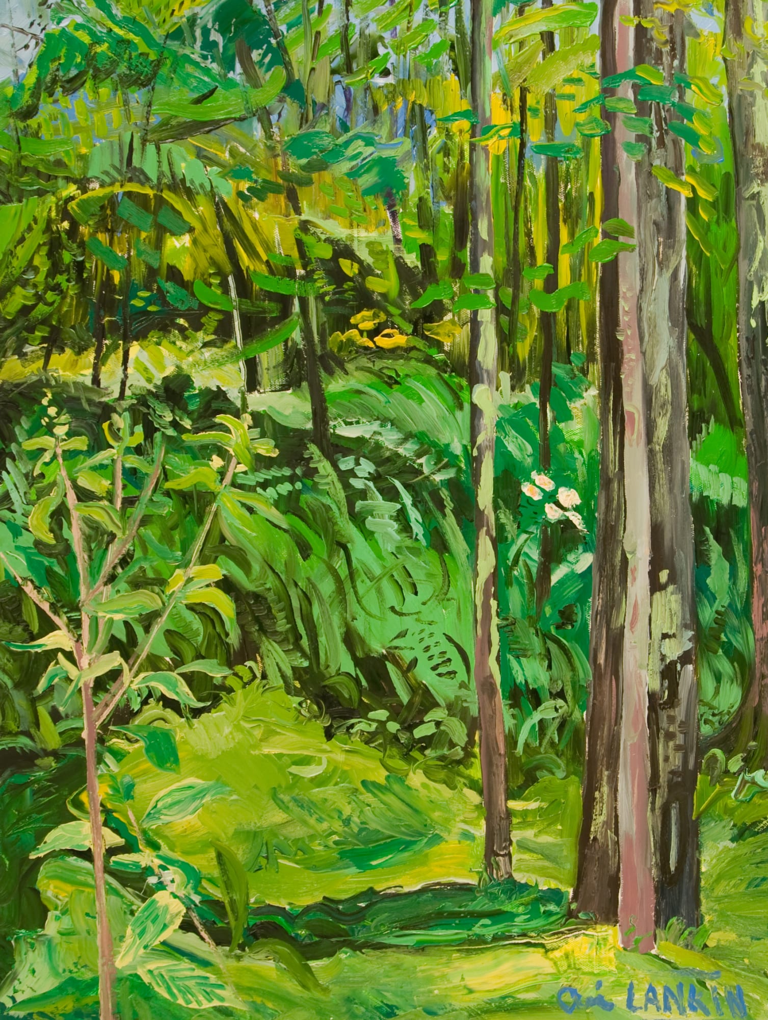 Ari Lankin, Early Summer, 2013