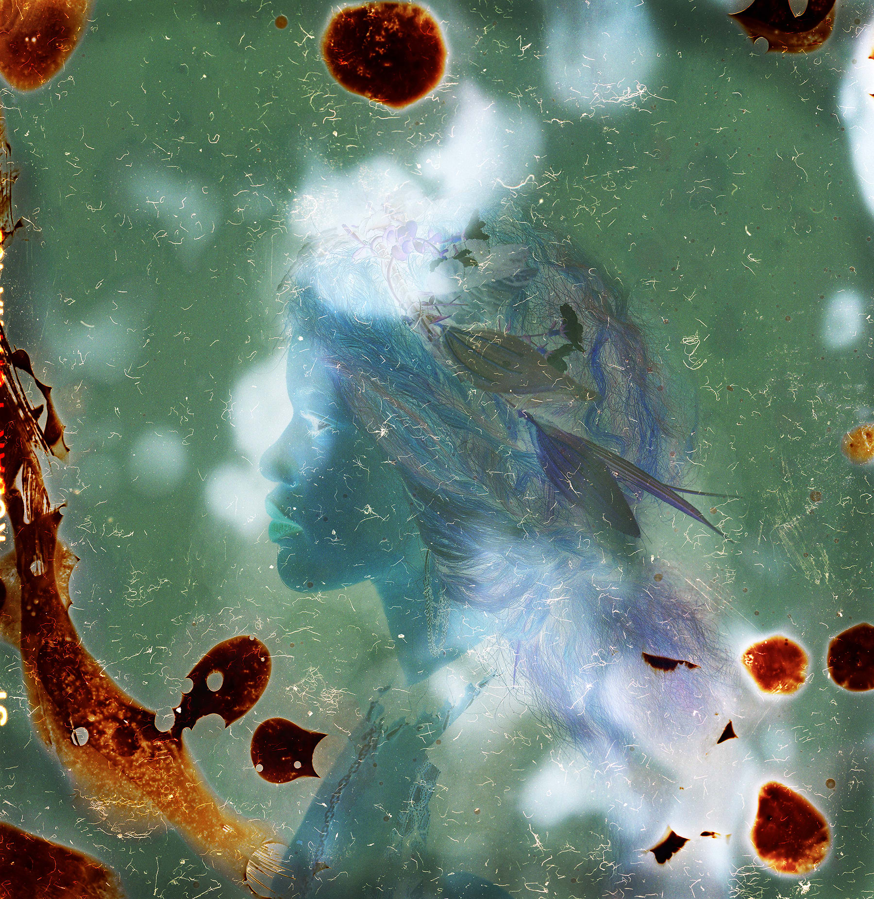 Aline Smithson, Melanesia, 2017