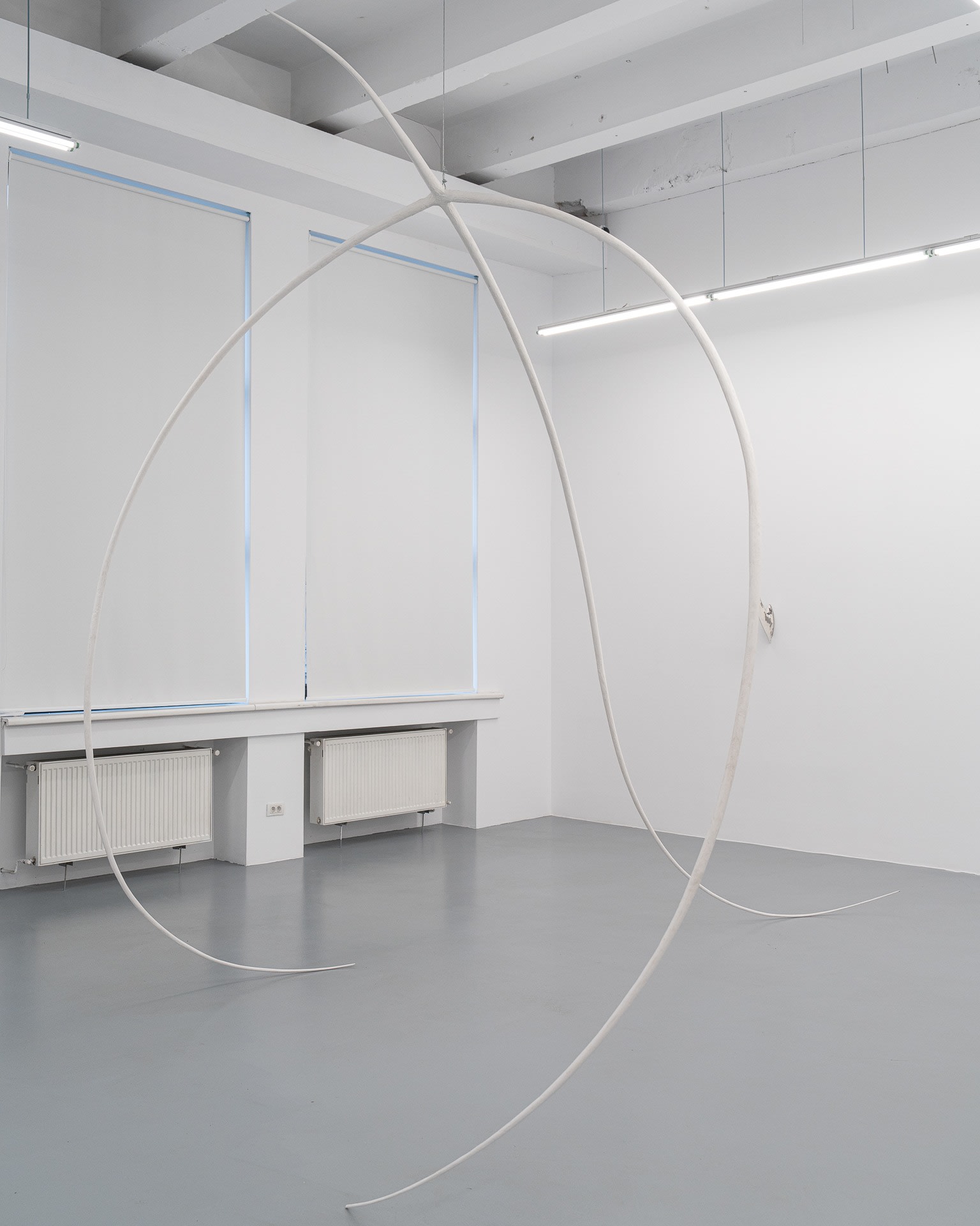 Florina Drăguș, Uplifting Claw, 2025