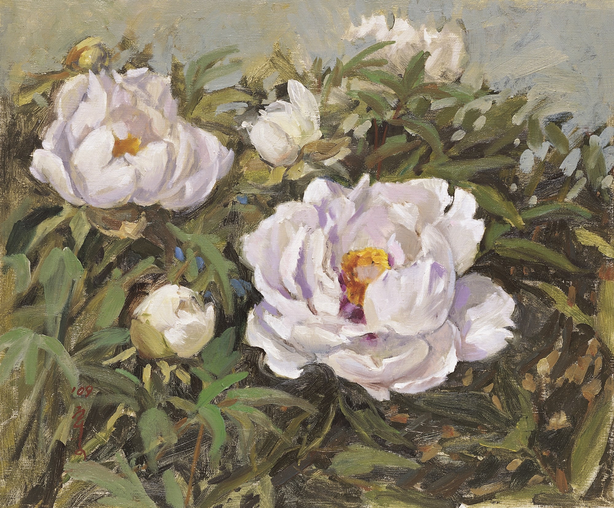 이우자, 백모란, 2009