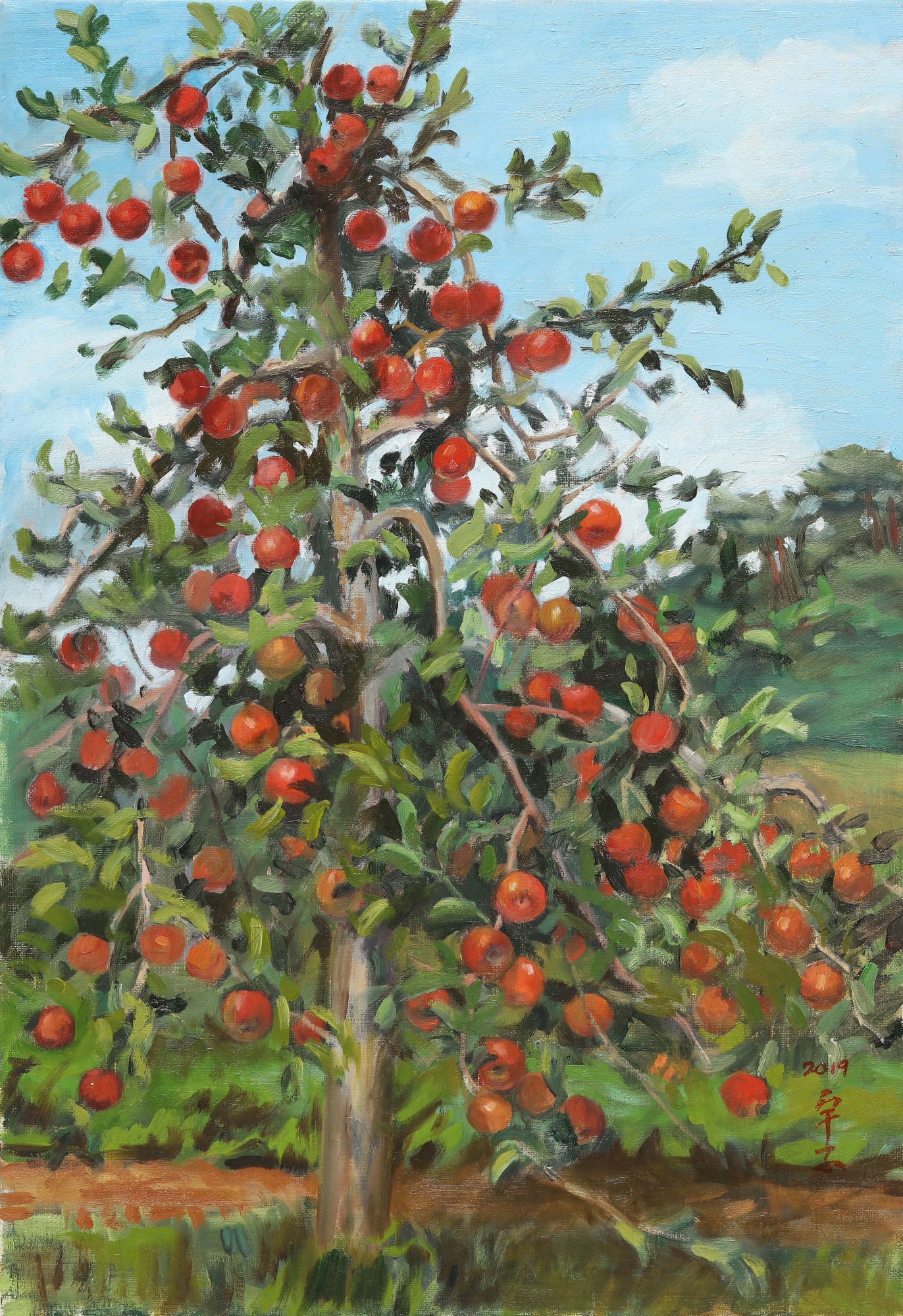 이우자, 사과나무, ,