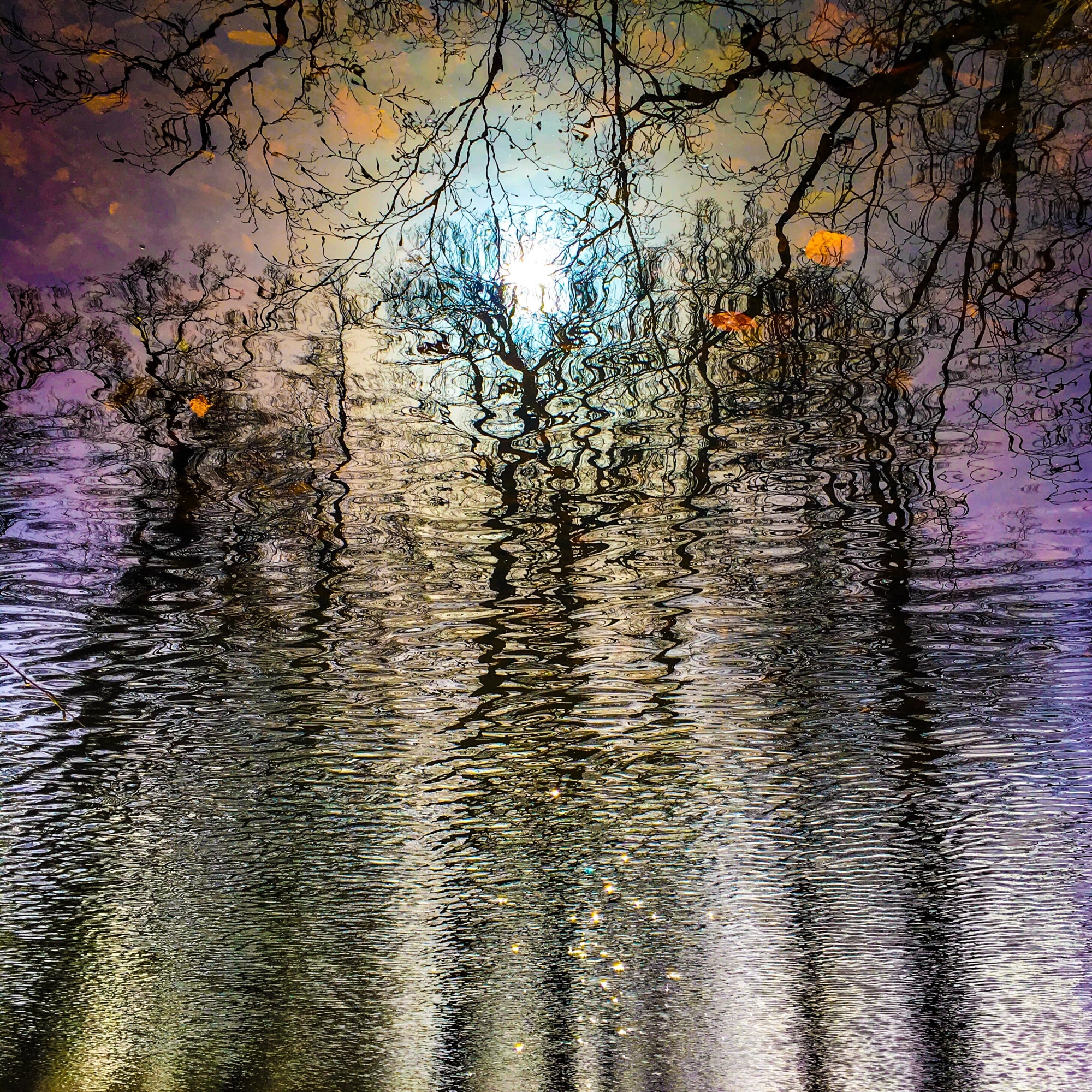 Astrid Lowack, Way to Illumination, 2018