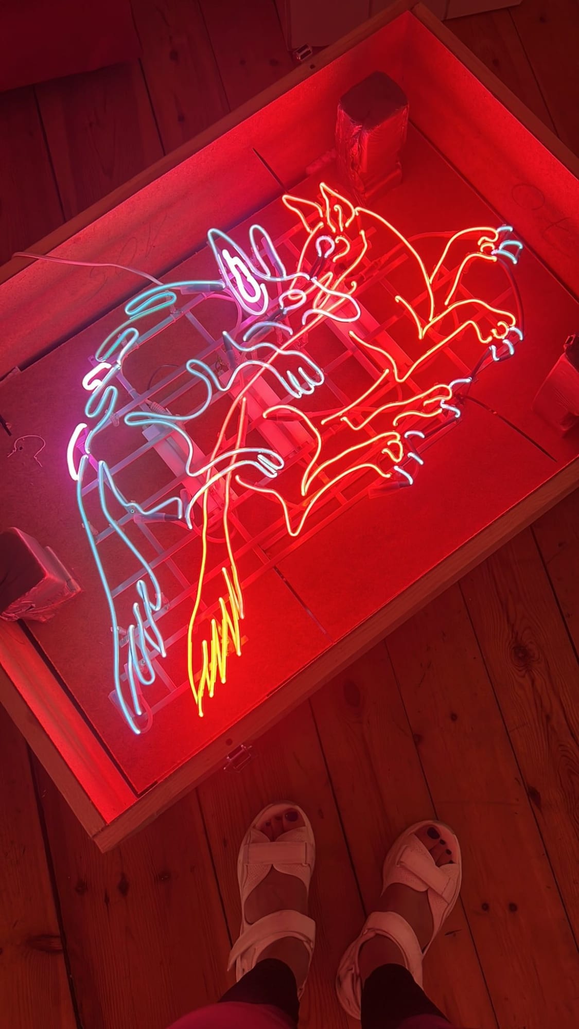 Anna Nezhnaya, FERAL INSTINCT