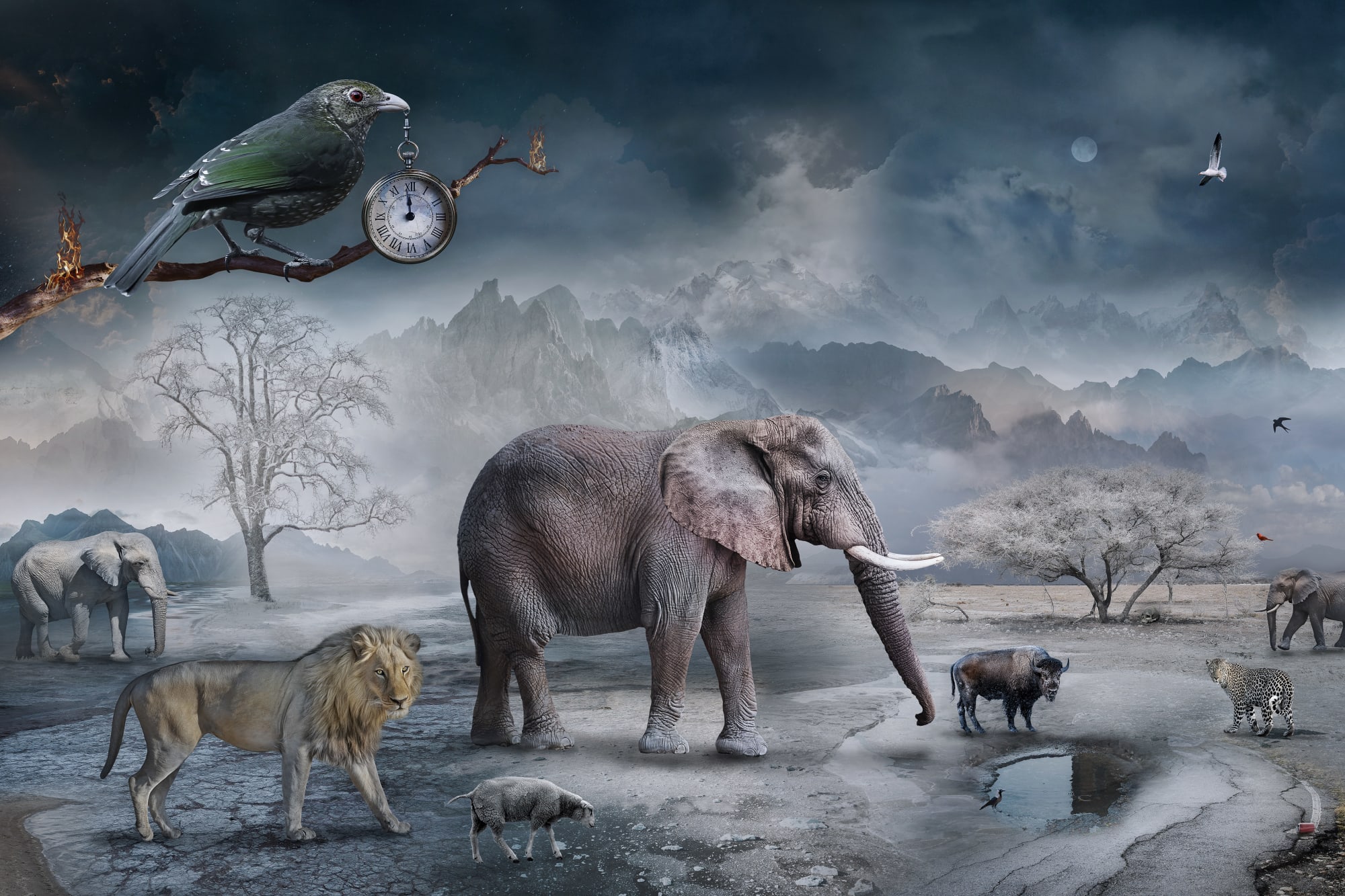 Marcin Owcarek, THE LAST DROP OF WATER, 2021