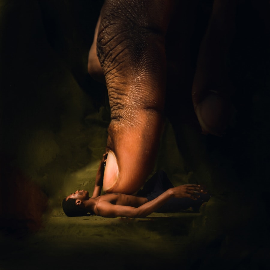 Adeolu Osibodu, This is where you belong, 2020