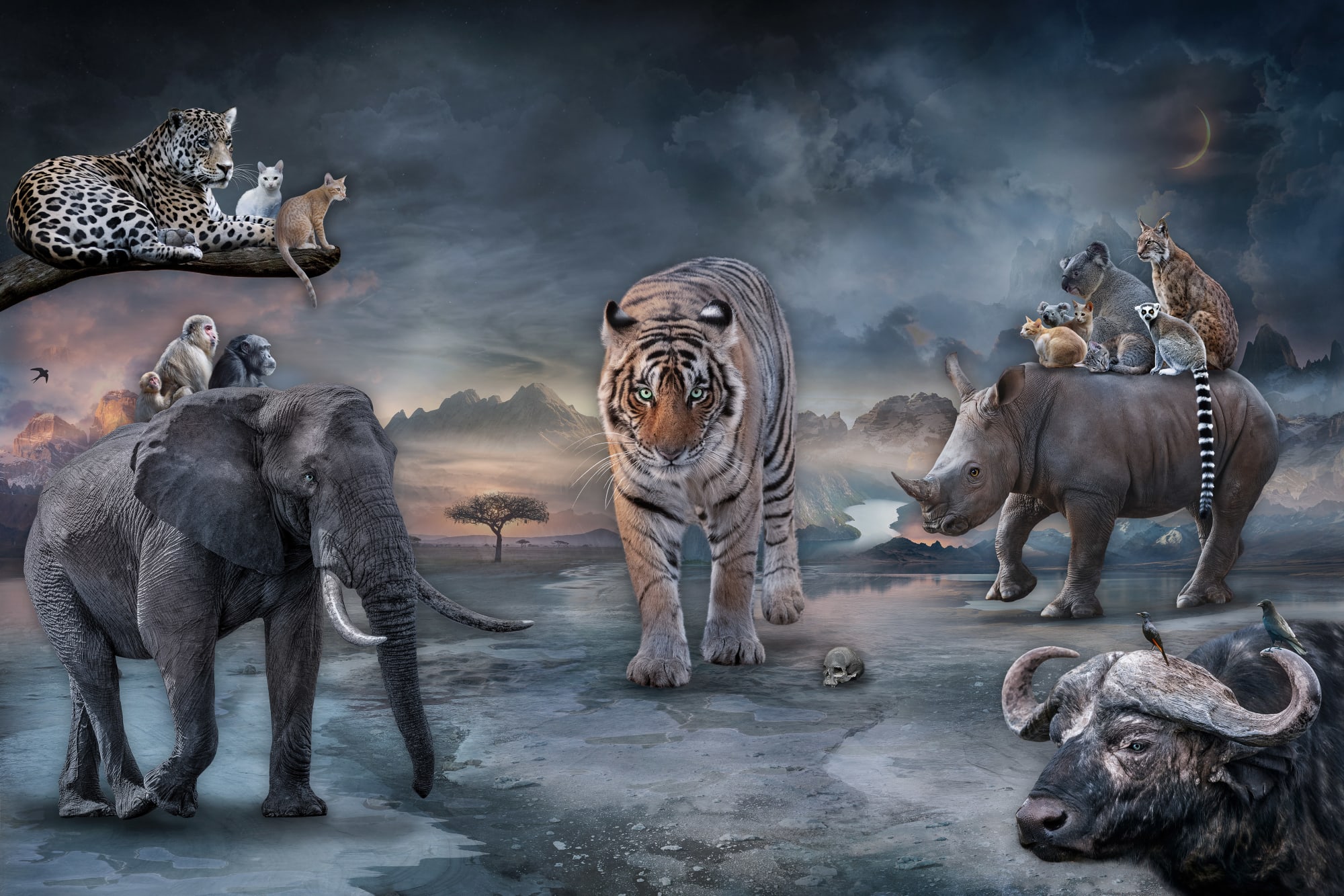 Marcin Owczarek, PROTECTORS OF WILDHEARTS, 2023