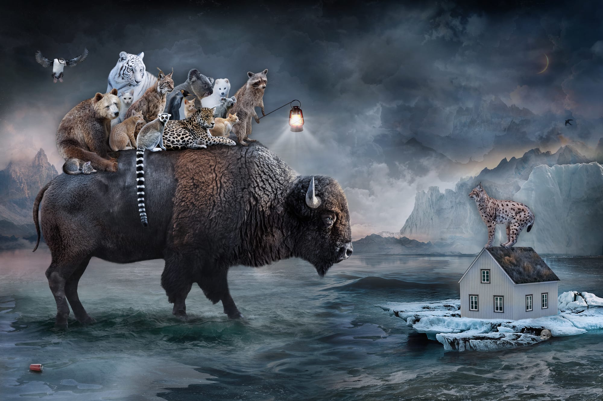 Marcin Owczarek, SHELTER SPIRIT OF THE BISON, 2023