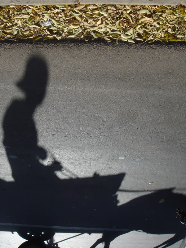 Saïdou Dicko, LA CALECHE , 2007