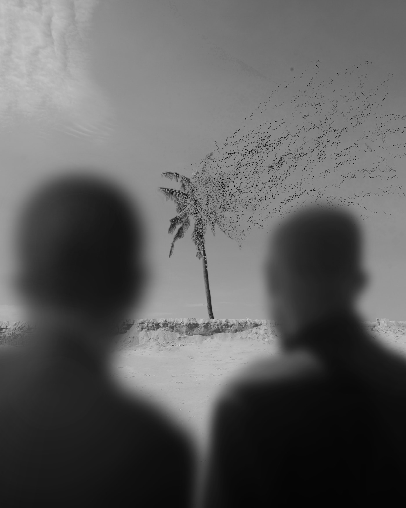 Adeolu Osibodu, Never forget the rythym, 2020