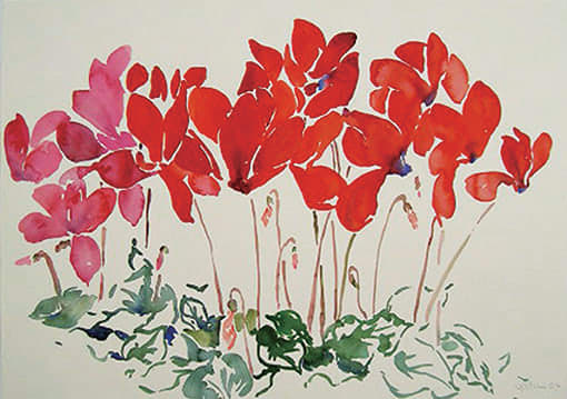 Yatchi, Bal du printemps, 2004