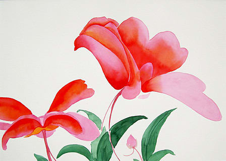 Yatchi, Fleur de paix 2, 2005