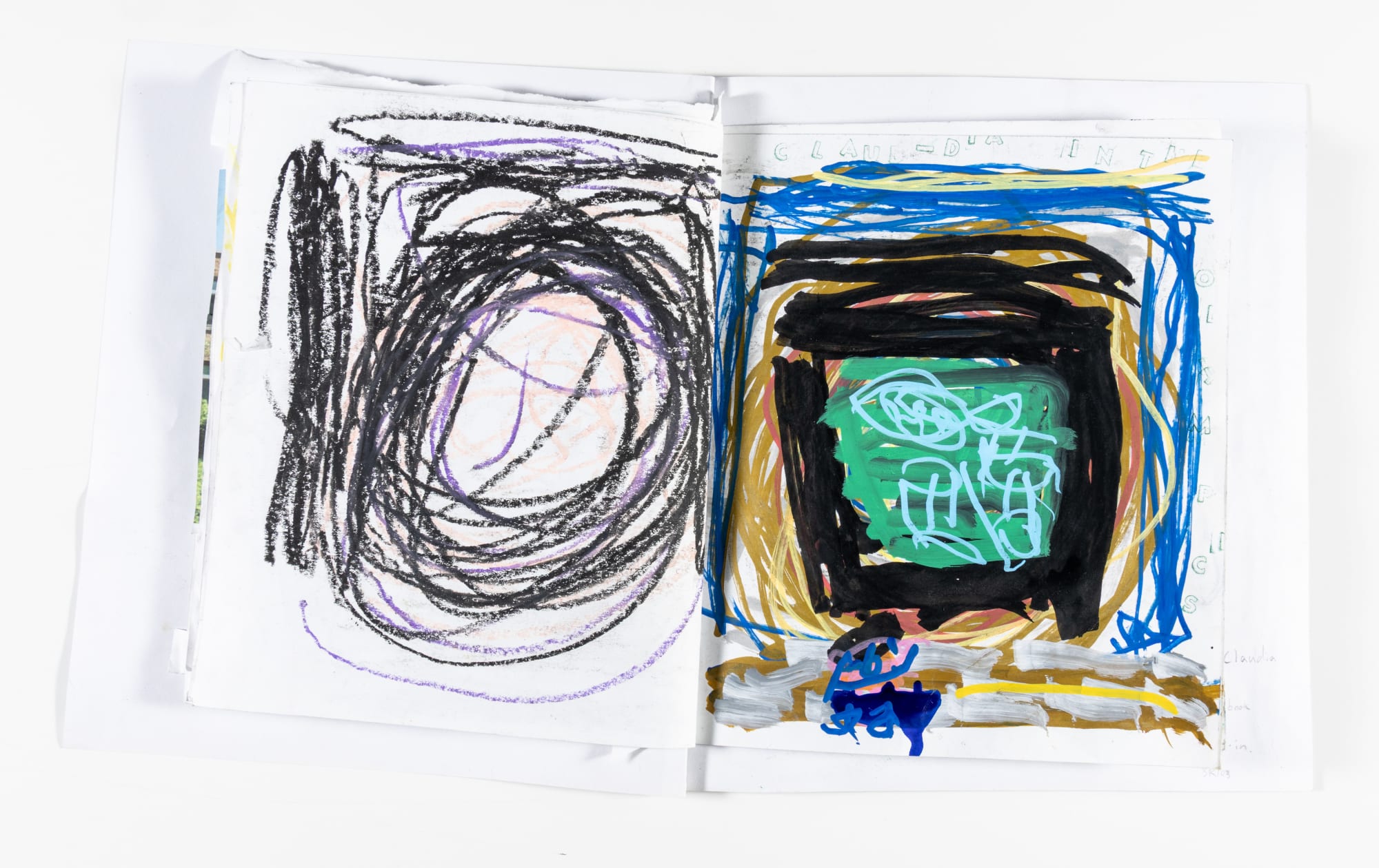 Brian Reed, A Book About Claudia, 2025 | Arts of Life - Circle Contemporary