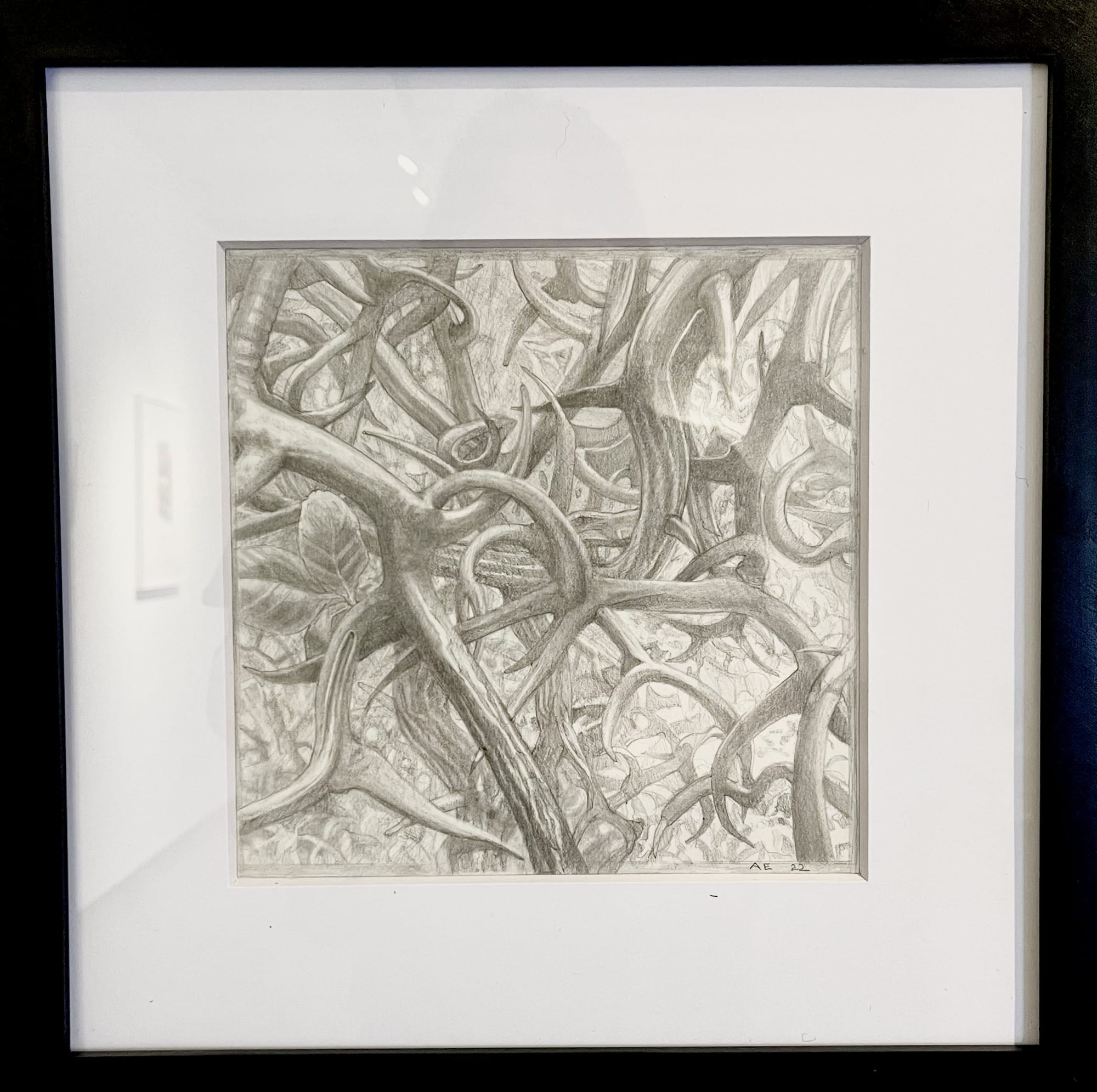 Ann Ekstrom, Flying Dragon 2, 2022