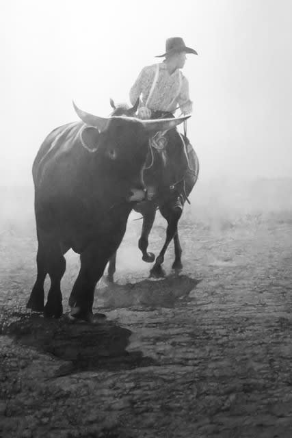 Woodrow Blagg, Silver Ground , 2018