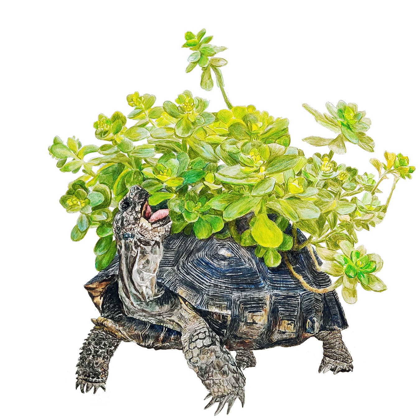 Steven Barker, Shelter In Place, 2020