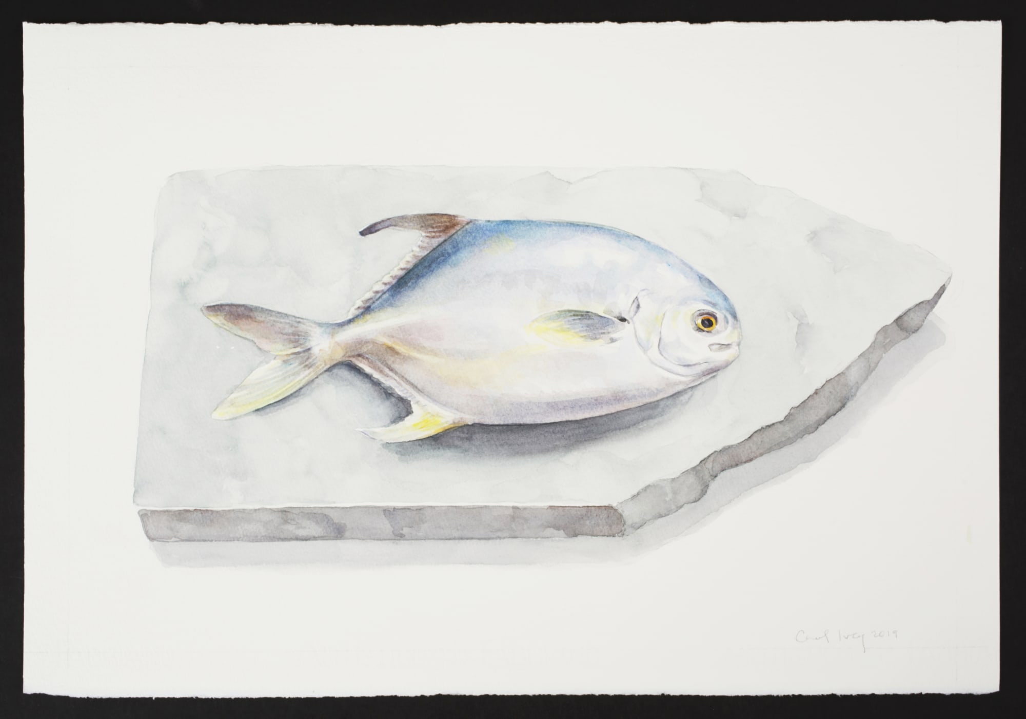 Carol Ivey, Pompano, 2019