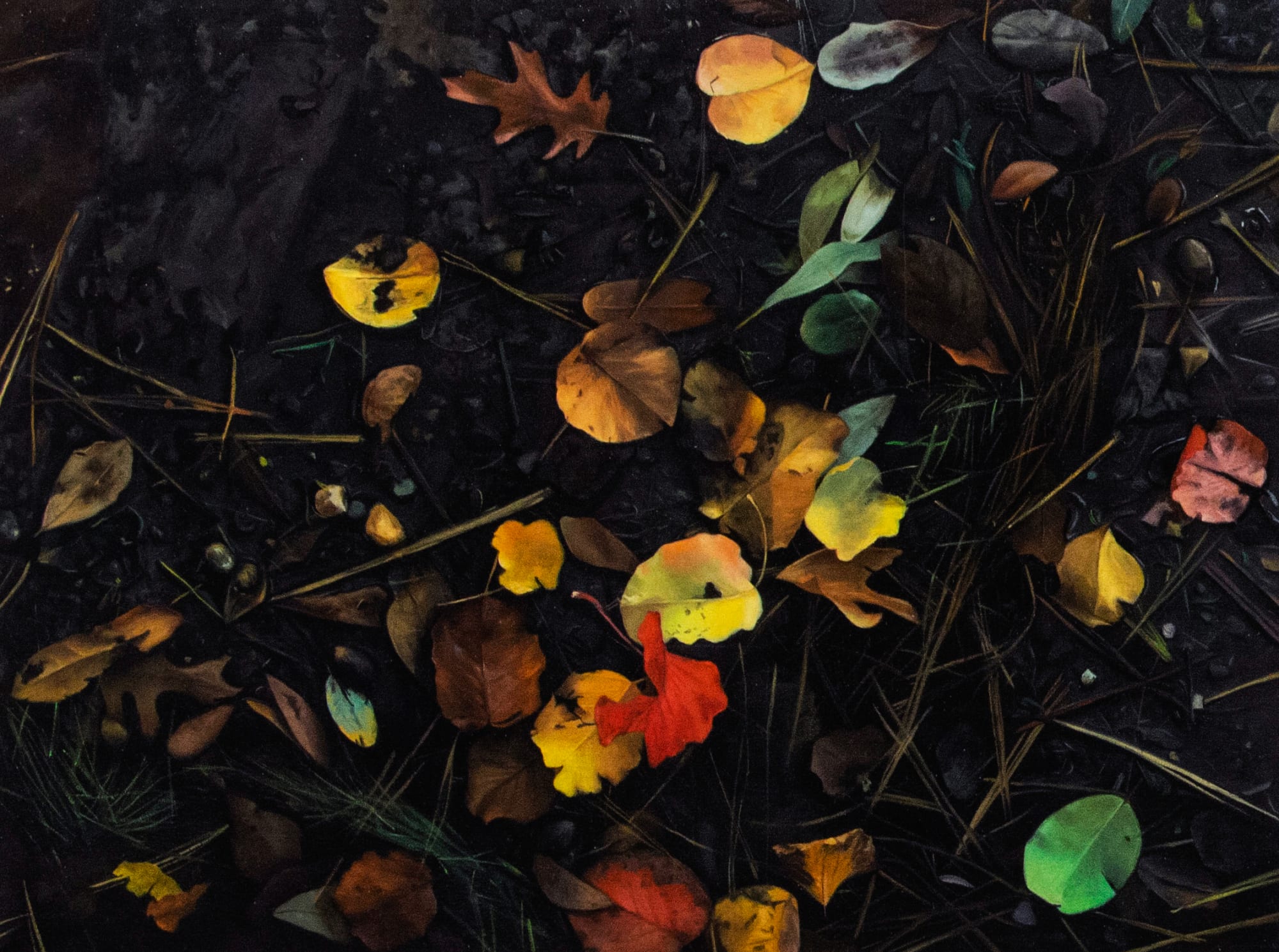 Mihee Nahm, Puddle #3, 2020