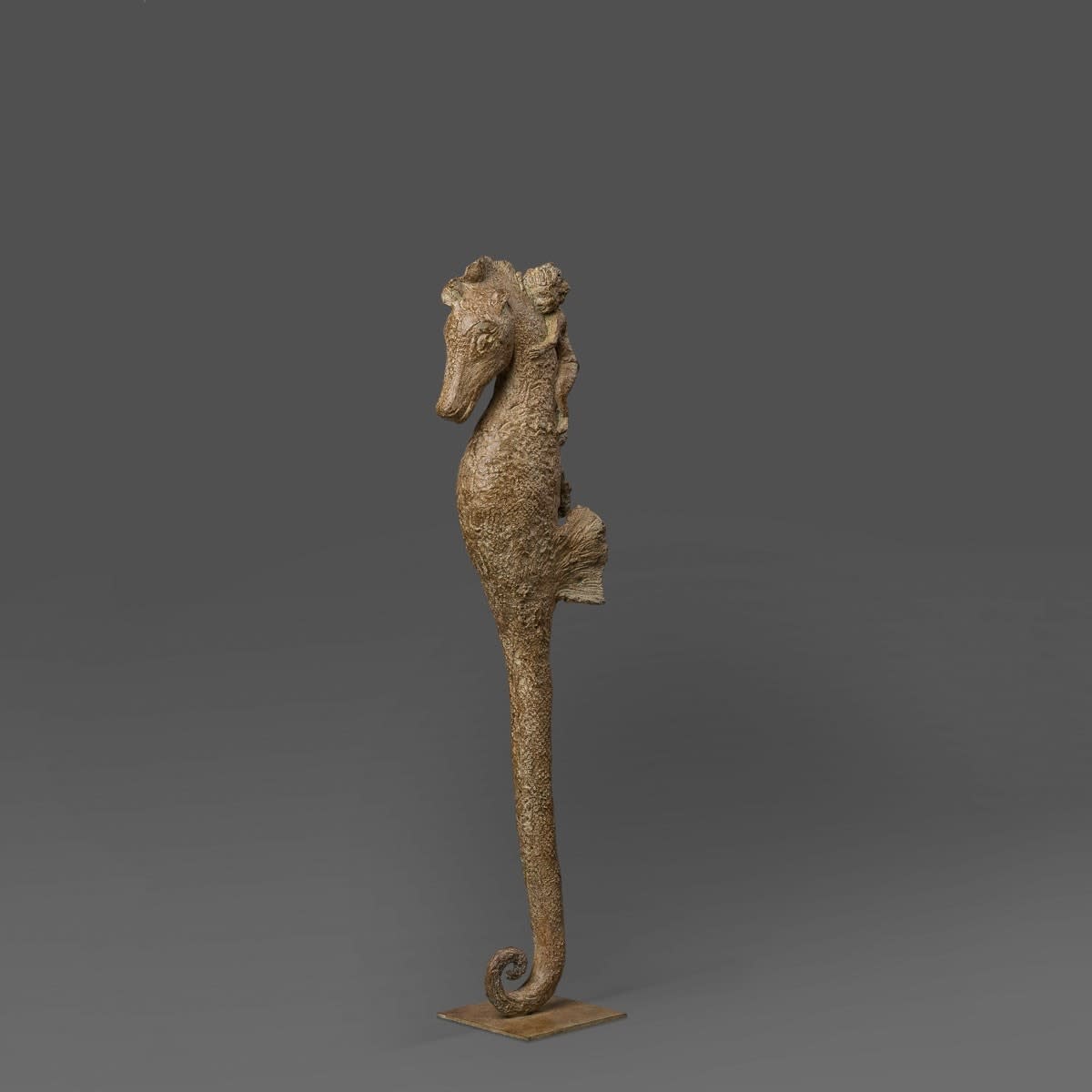 Sophie Verger, Mon hyppochampe, 2017