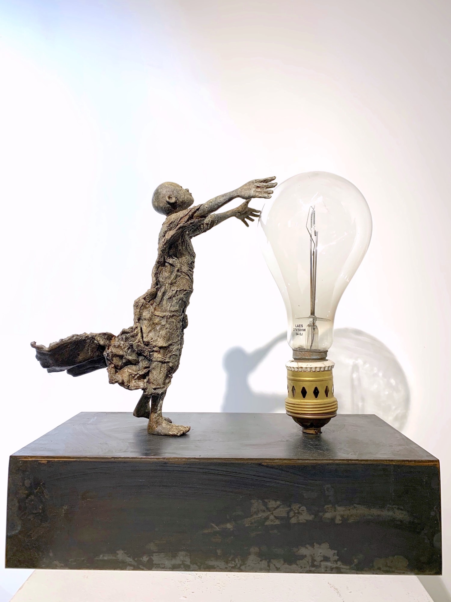 Lieven d'Haese, The Visionary with Light, 2020