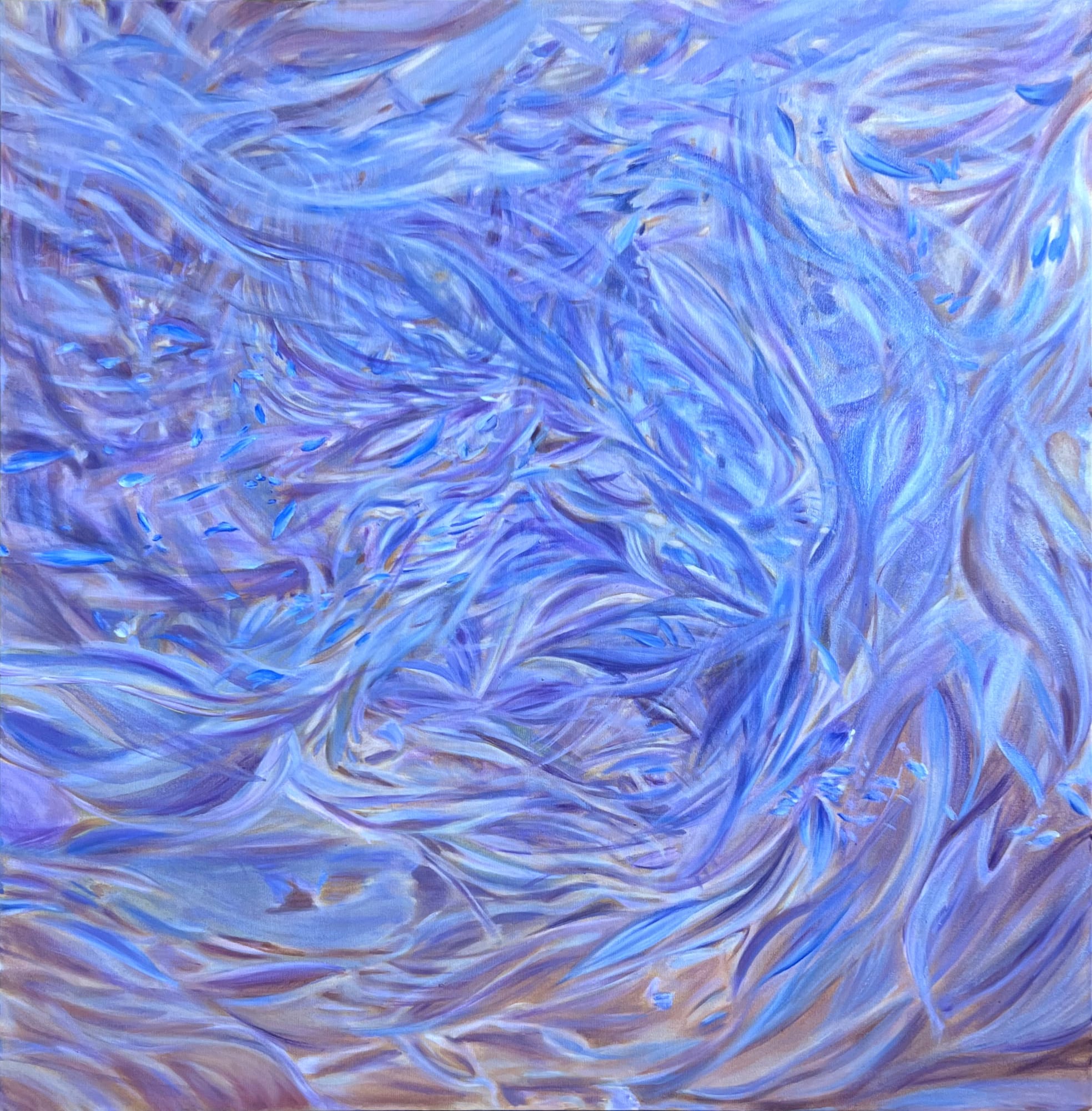 Fatima Tayob Moosa, Being Carried by Wind , 2024