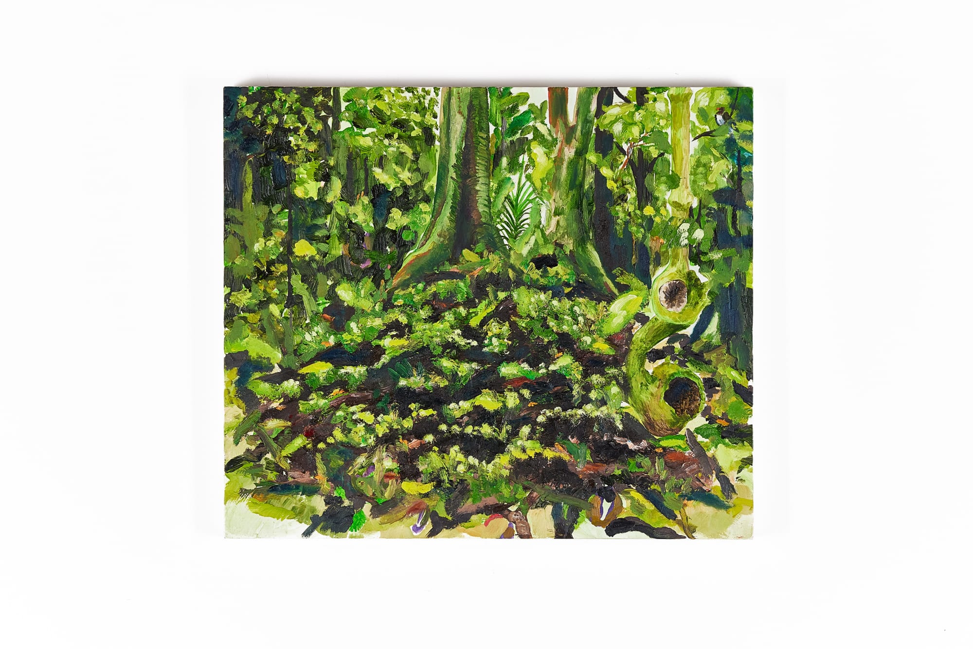 Leighton Upson, Into the Trees, 2015