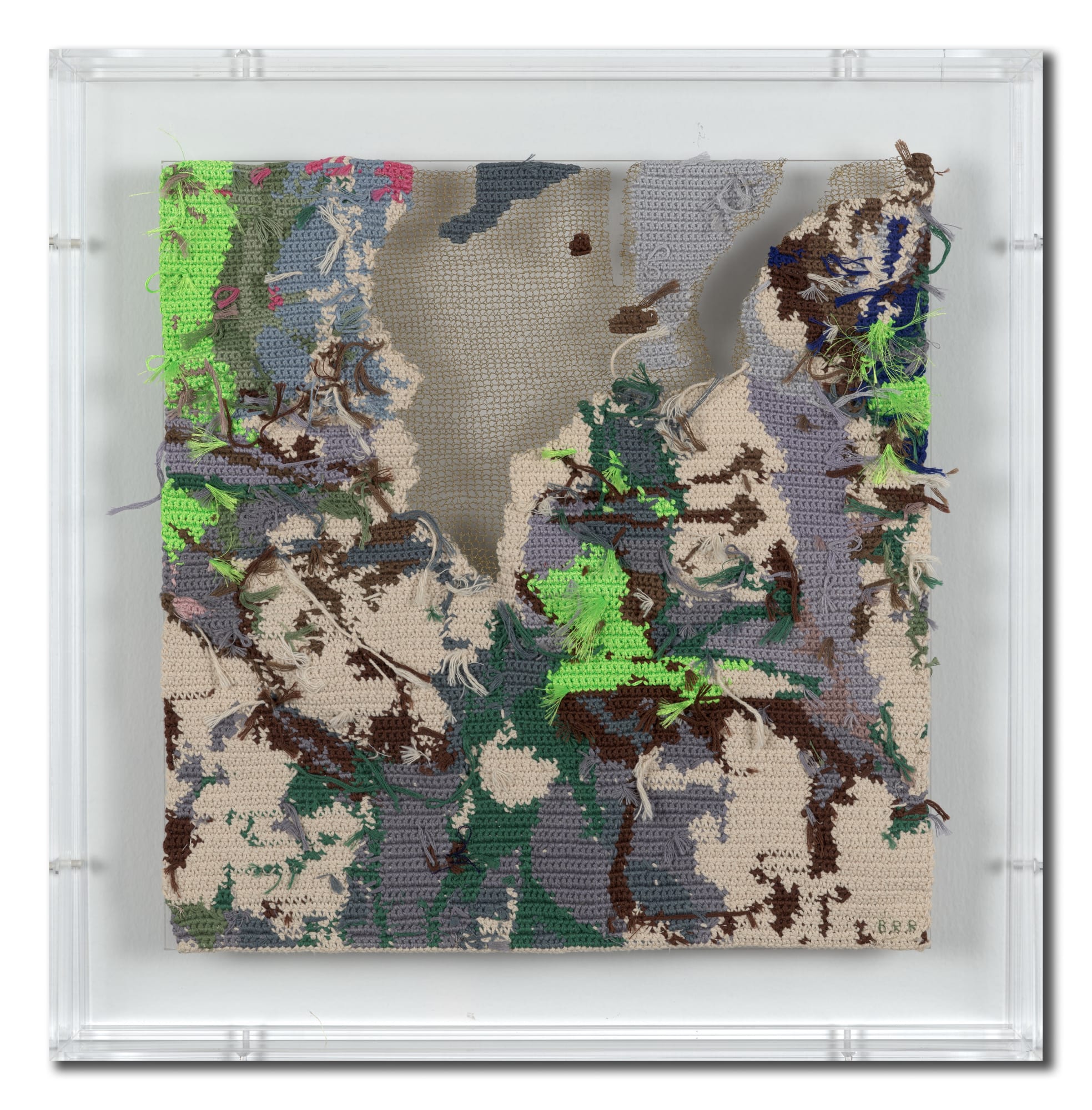 毕蓉蓉 Bi Rongrong, 平面生物——织物 VIII Animal in Two Dimensions—Textile VIII, 2021