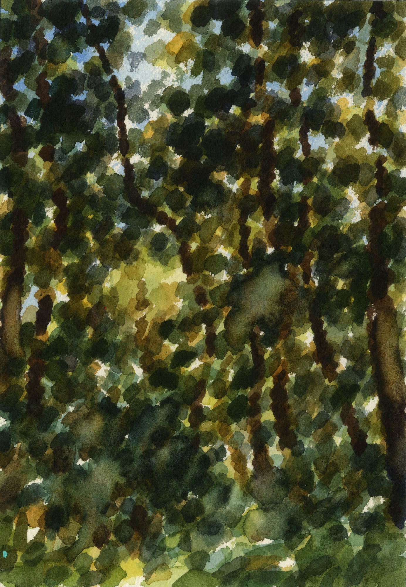 王俊 Wang Jun, 林中写生系列No.1 | Watercolor Sketching in the Forest No.1, 2018.11.25