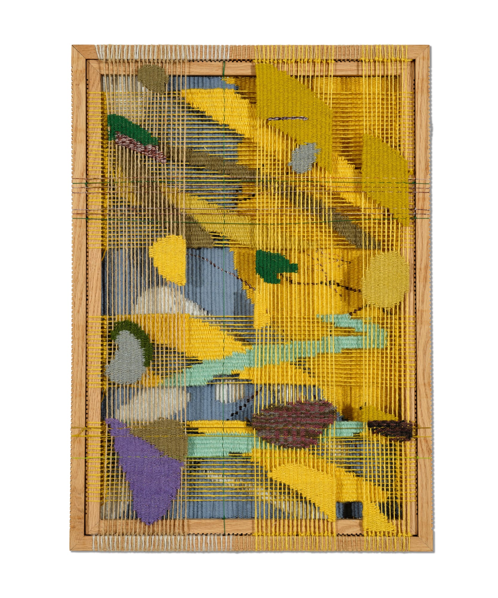 毕蓉蓉 Bi Rongrong, 平面生物——织物 V Animal in Two Dimensions—Textile V, 2021